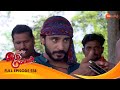 Dushyant entraps pragya and abhi  iniya iru malargal  full ep 558  zee tamil