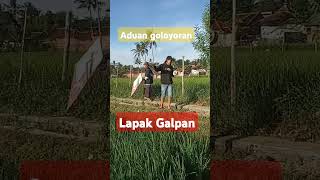 #ADUAN_LAYANGAN_GARUT#GALPAN#SUCINARAJA#garut #jabar #indonesia #international