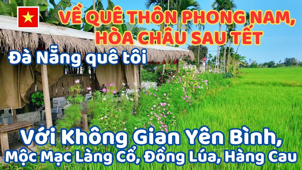 Quê Thôn Phong Nam, Hòa Châu Sau Tết Với Không Gian Yên Bình, Mộc Mạc Làng Cổ, Đồng Lúa, Hàng Cau