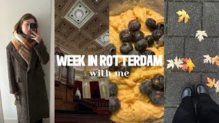 Life in the Netherlands // one week of the student in Rotterdam