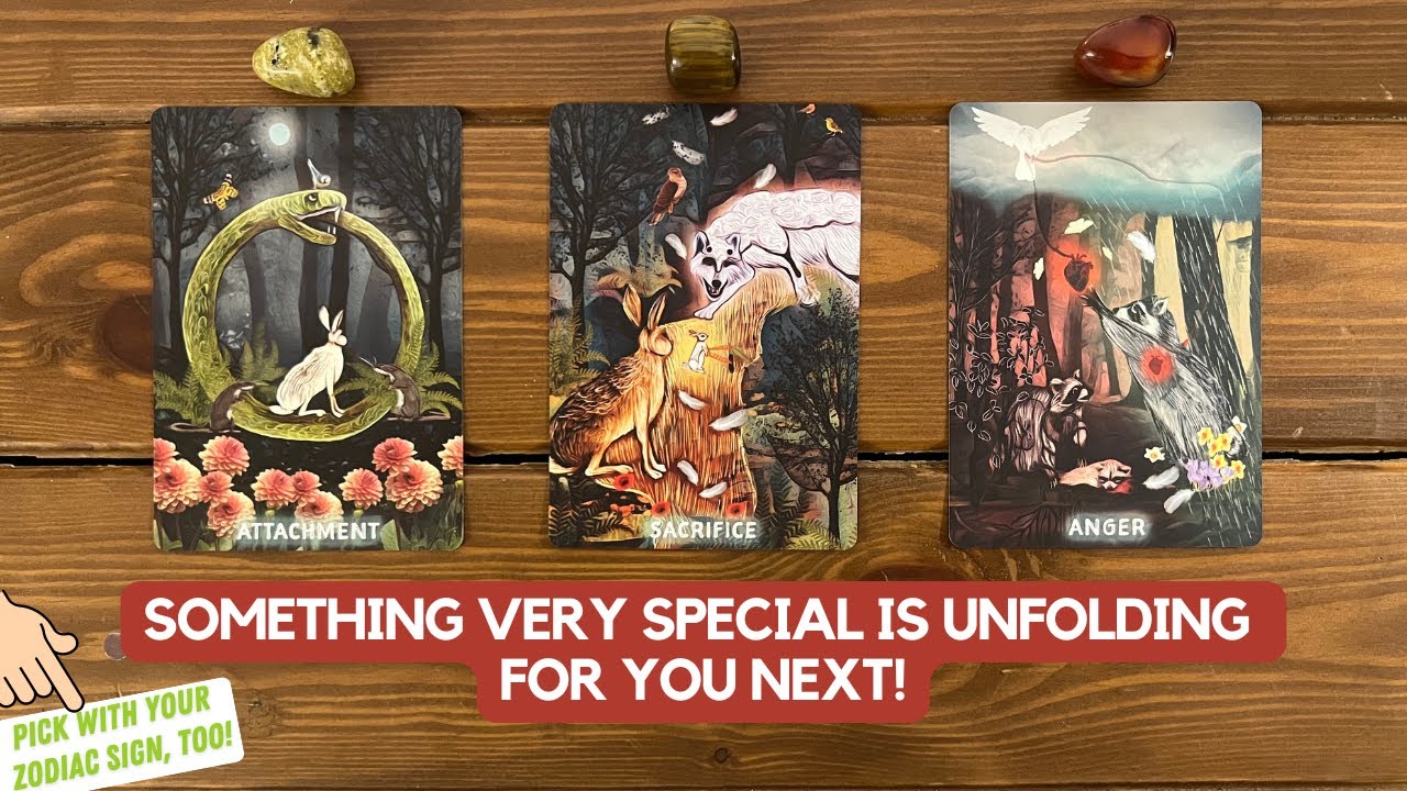 Something very special is unfolding for you next! 🔮 | Timeless Reading