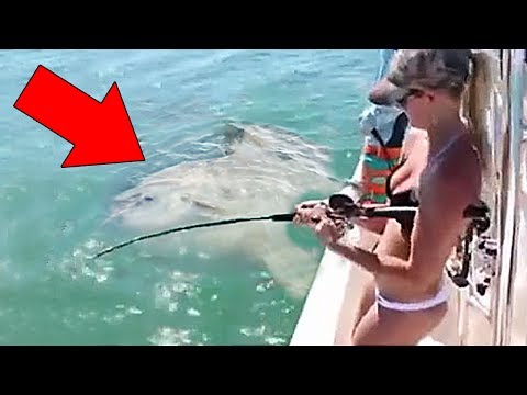 5 Shocking Fishing Moments Caught On Camera!