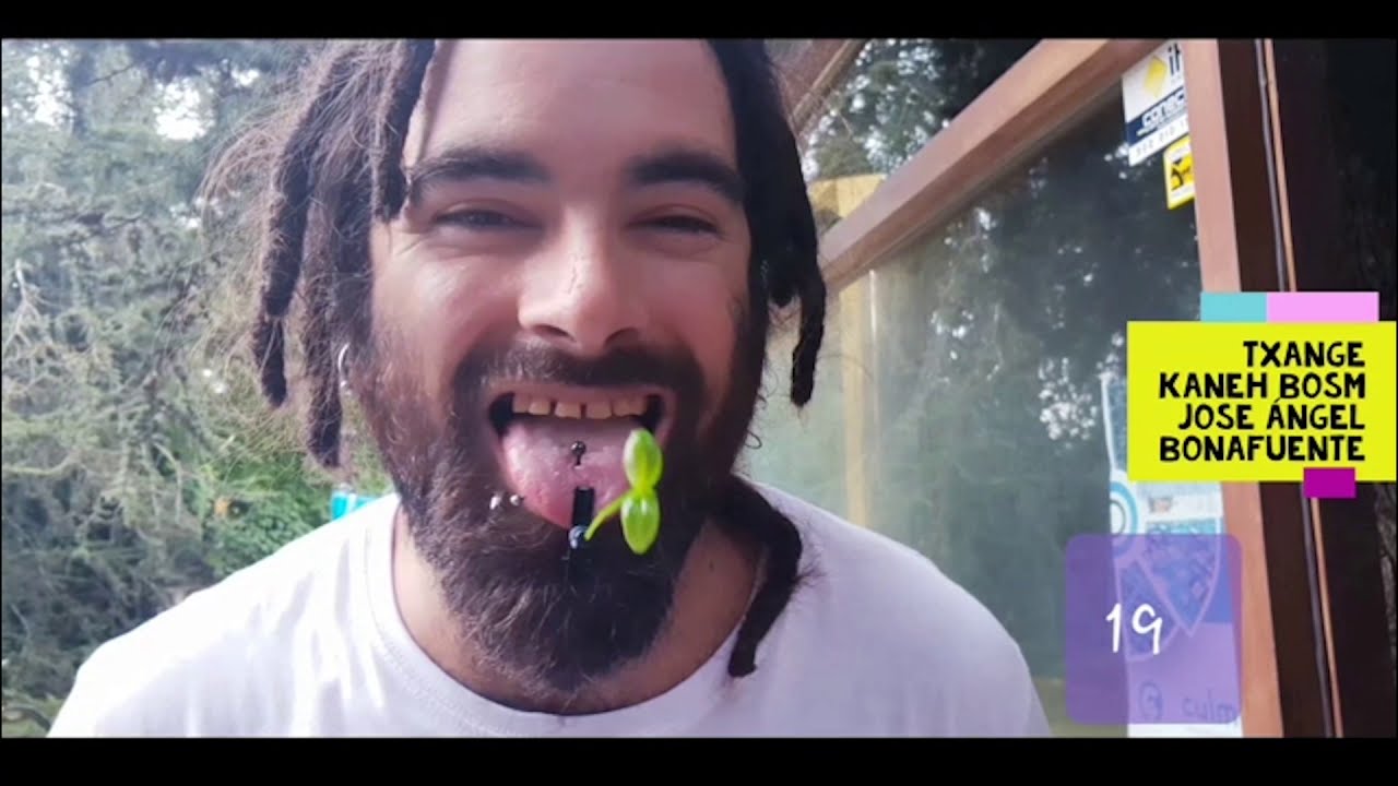 Reportaje Copa de la Marihuana Medellín, Aniversario RIFF CLUB y Review Led Marsh Hydro | Now - 105