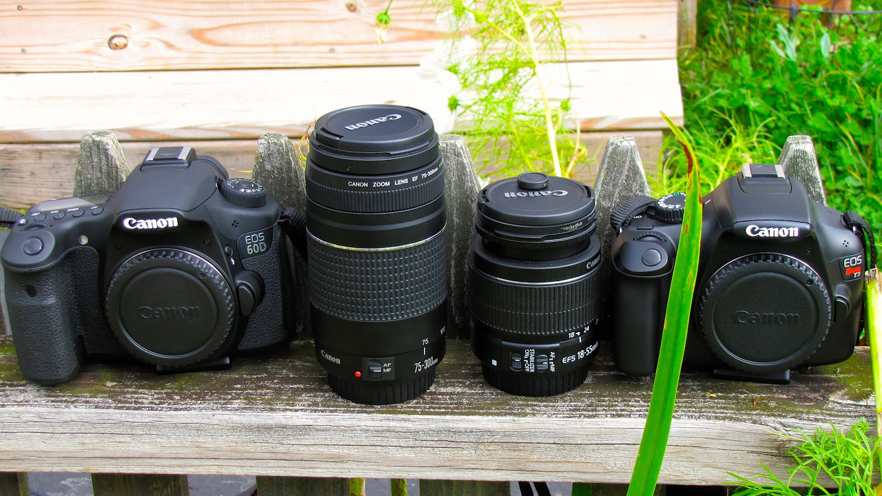 Canon EOS デジタル一眼レフカメラ 18-55mm 75-300mm Amazon | Canon EOS Rebel SL1 デジタル一眼レフ 18-55mm STM +