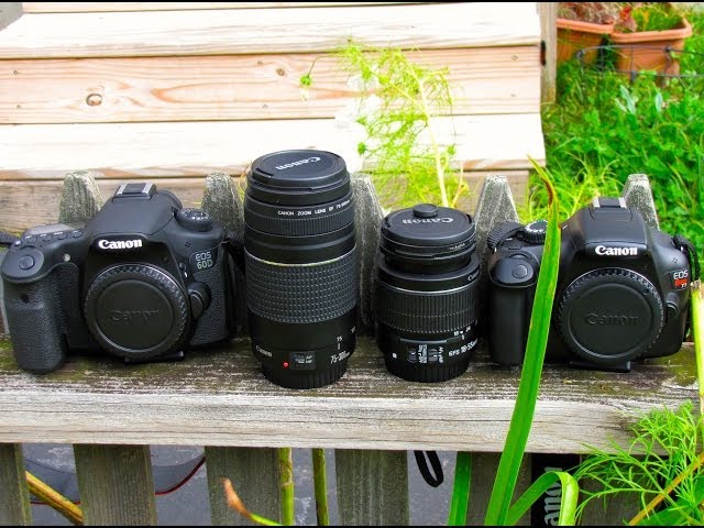 Amazon.com : Canon EOS Rebel 2000D DSLR Camera with 18-55mm