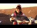 良型チヌ連発で絶好調!岸和田一文字で波止のウキ釣り!/四季の釣り/2015年11月13日OA