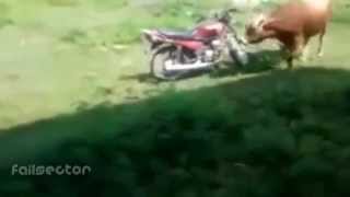 EPIC Fail Compilation 2013 #2 Fail Sector Ultimate