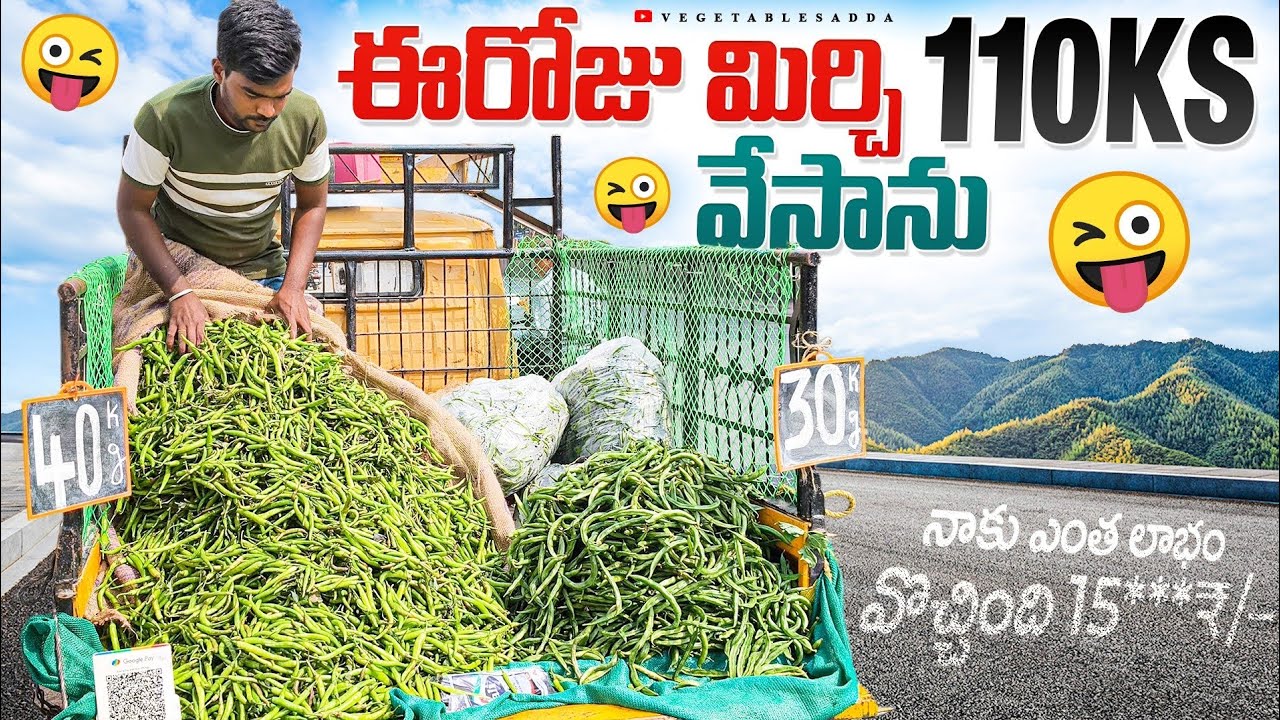 మిర్చి 25₹ kg లెక్క 110kgs వేసాను నాకు ఎంత లాభం 😜🌶️🔥15***/–//