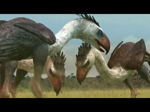🦖 ¿Descienden las AVES DEL TERROR de los DINOSAURIOS?