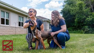 Finding a Foster or Forever Home