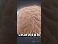 ЁЯзатЬи Unlocking Memories The Science Behind Remembering And Forgetting ЁЯФНЁЯТн Brain Memory ЁЯзатЬи Unlocking Memories The Science Behind Remembering And Forgetting ЁЯФНЁЯТн Brain Memory