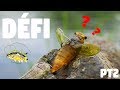 Dfi pche leurres bizarres  truite ara rservoir  pt2