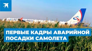 Первые кадры аварийной посадки самолета А-321 в Жуковском