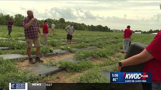 Iowa farm seeks grocery store connections through Choose Iowa program