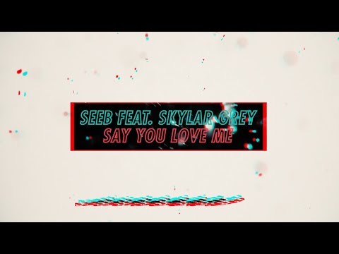 Seeb x Skylar Grey - Say You Love Me #NiceToMeetYou (Official Lyric Video)