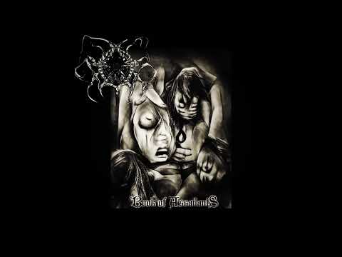 WALLOW - Book Of Assailants [FULL ALBUM] 2024   **including lyrics**
