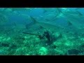 Pesca submarina extrema del tarpón o sábalo con Joseba Kerejeta en Isla Margarita, Venezuela