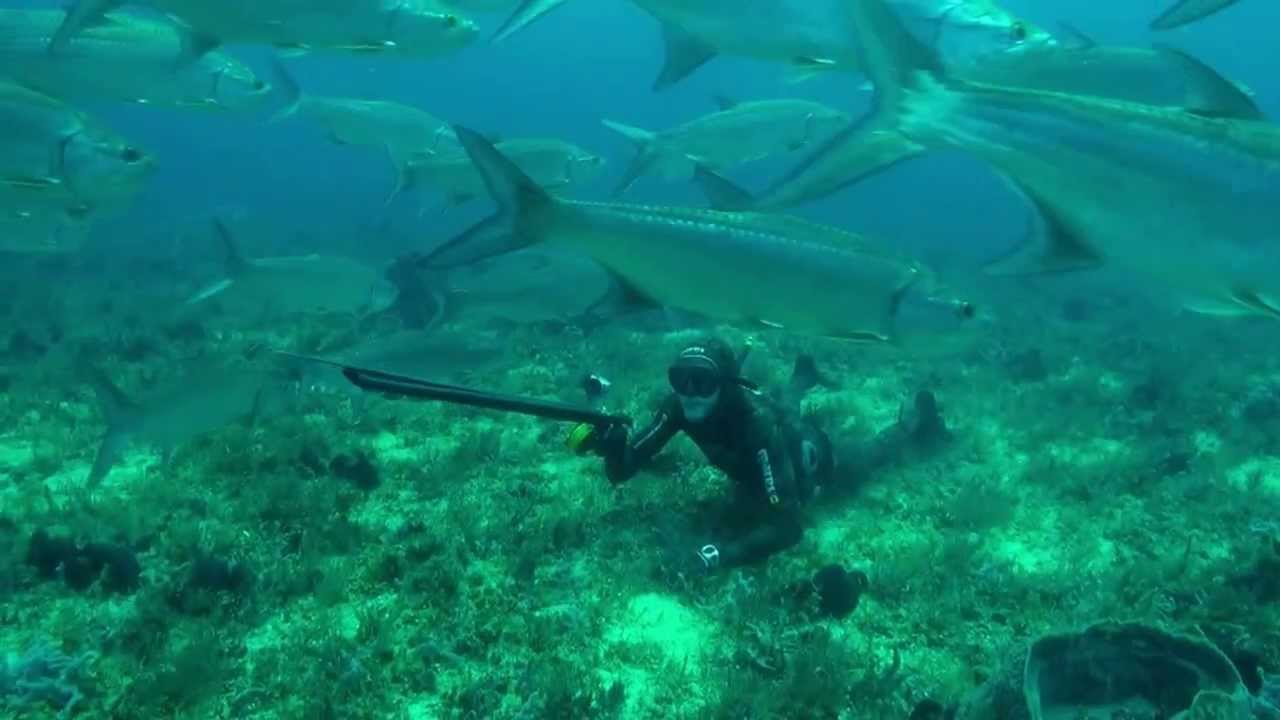 Pesca submarina extrema del tarpón o sábalo con Joseba Kerejeta en Isla  Margarita, Venezuela 