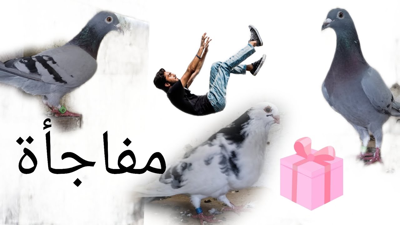 توليعا  خفيفا دريفا 😍ومفاجٱة 📦