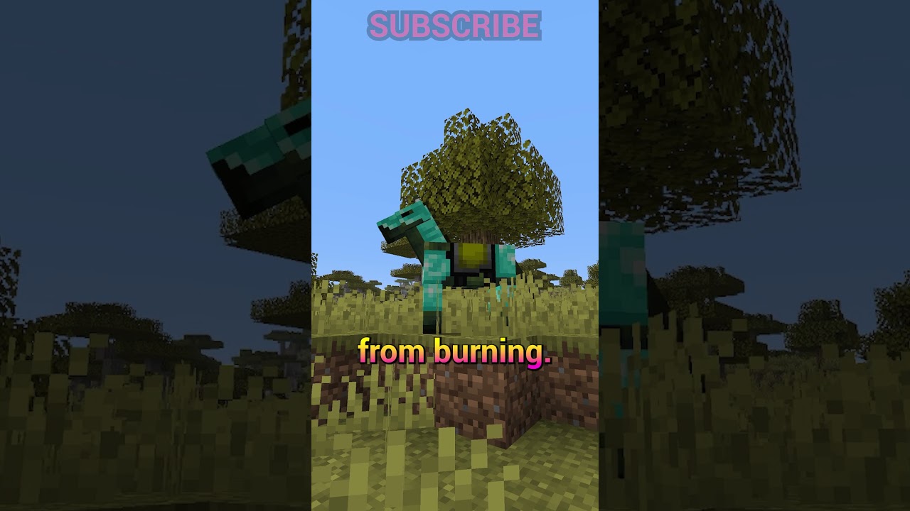 NEW SPEAR ENCHANTMENT, NAUTILUS FEATURES AND MORE