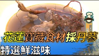 花蓮寶藏食材鮮採丹蔘 特選鮮滋味 |【民生八方事】| 2022071503 @gtvnews27