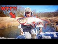 Removing INVASIVE Fish From TINY SPILLWAY!!! (Catch, Clean, Cook)