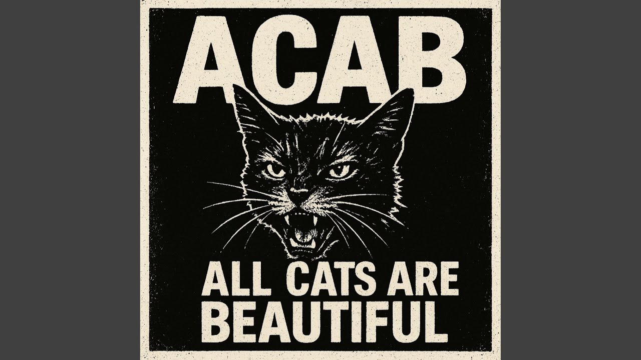 All Cats Are Beautiful (ACAB)