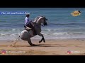 Entrevista a Luis Benitez - Campeón de España Doma Vaquera 2021 y 2022 con LUAR un caballo Lusitano