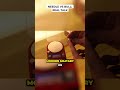 Needle vs Bull: Real Talk