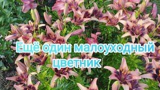 Еще один малоуходный цветник. Огуречный сюрприз. По Северной Двине на остров 🏖