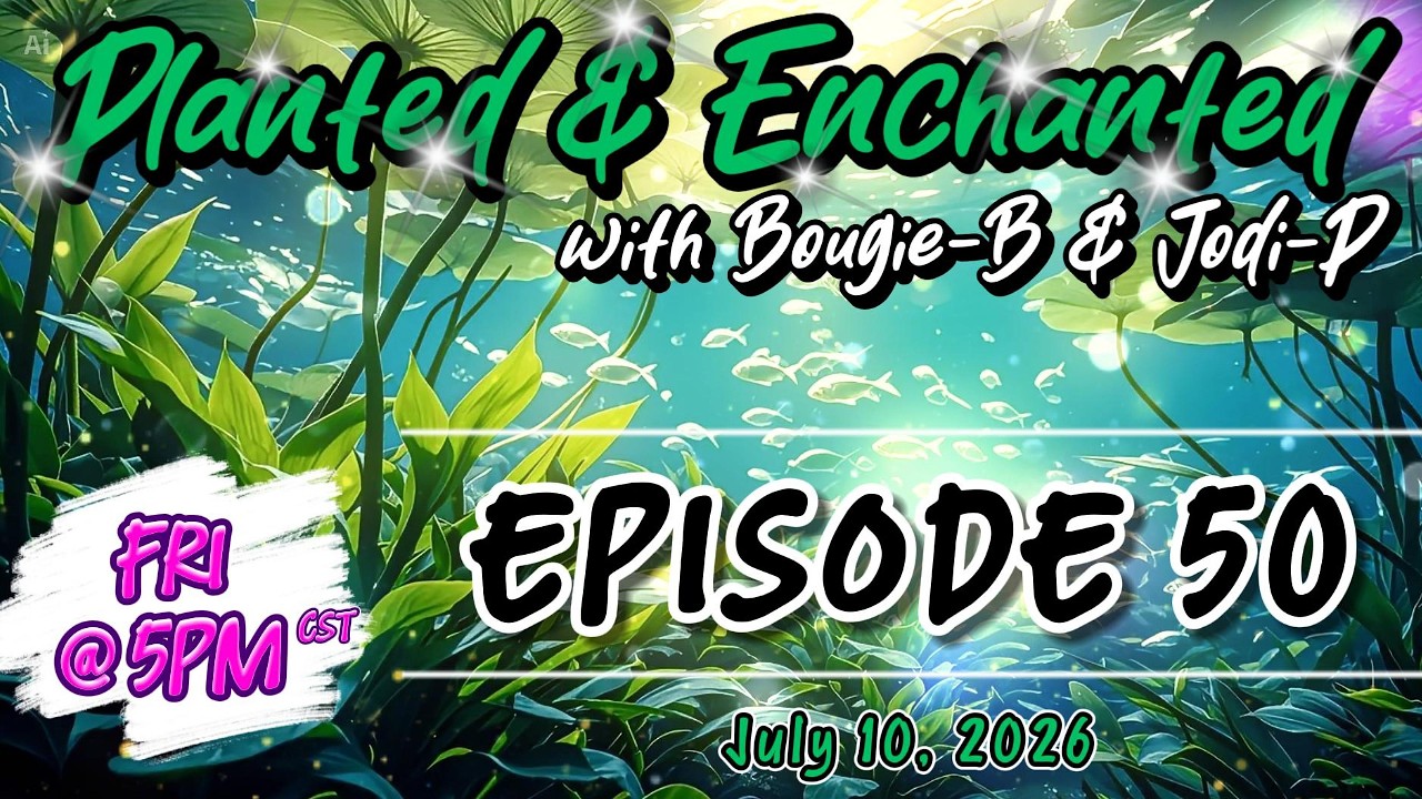 Planted & Enchanted with Bougie-B & Jodi-P - Episode 50
