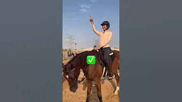 اذا حابب تصير فارس اليك طريقة ركوب الخيل الصحيحة 
