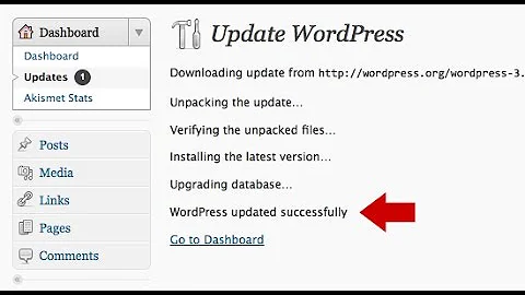 How to Update a WordPress Theme and Plugins and  without Losing Customization