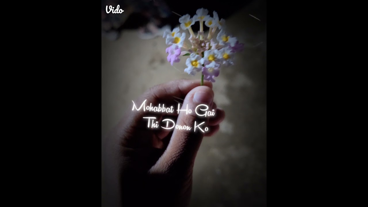 A flower means a beautiful nature..