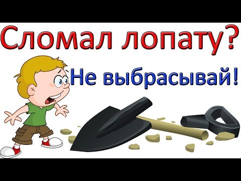 Бейне: Пэтти-маллет қайда?