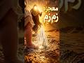 معجزه ای در دل بیابان سوزان و خشک