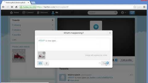 RSVP BOT Twitter Nike OCR Program Automatically Direct Message Nike