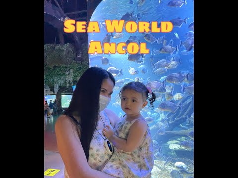 Bella explores Sea World Jakarta | Sea World Ancol