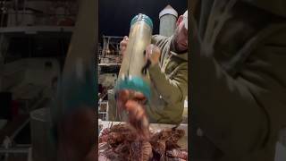 50 Pounds Of Invasive Lionfish Removed Today