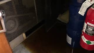 CRAZY Low On Oil Montgomery Hydraulic Freight Elevator Machine Room!
