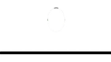 Adobe Animate Bouncing Ball