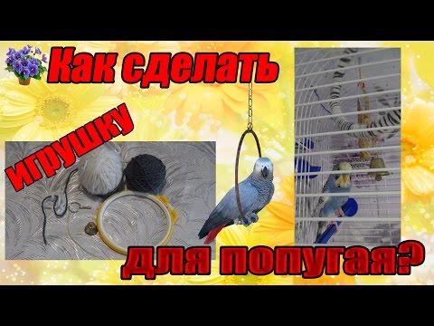 Как сделать игрушку кольцо для волнистого попугая своими руками?