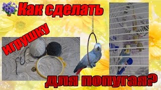 Как сделать игрушку кольцо для волнистого попугая своими руками?(Как сделать игрушку для волнистого попугая своими руками. В видео покажу как сделать качели для попугая..., 2016-02-11T12:22:19.000Z)