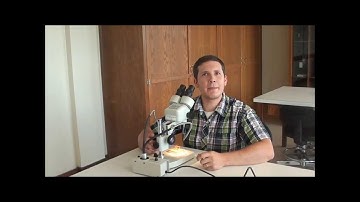 A Guide to the Entomology Graduate Student