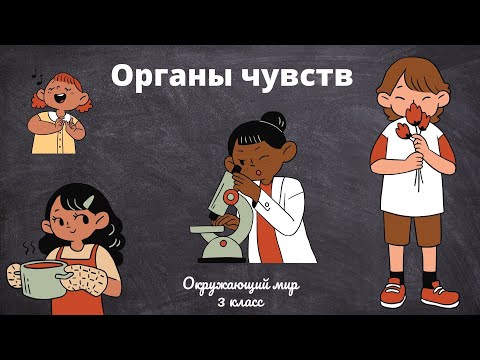 Органы чувств. Окружающий мир 3 класс