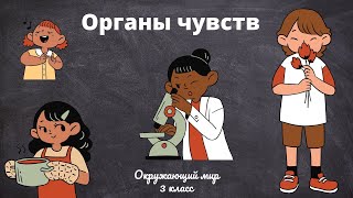 Органы чувств. Окружающий мир 3 класс