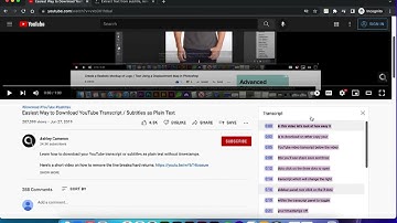 Download YouTube Transcript / Subtitles as Plain Text & Remove Timestamps