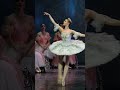 Classical russian ballet the nutcracker