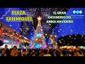Plaza San Miguel - El Gran Encendido del Árbol de Navidad 🌲