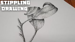 Stippling Drawing #69 - How to Draw a Realistic Plant Leaf Using Dot| Pencil Drawing| Stippling Art